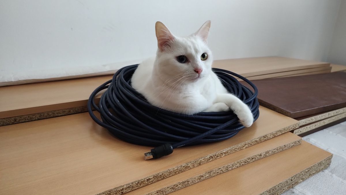 4000-2250-max.jpg